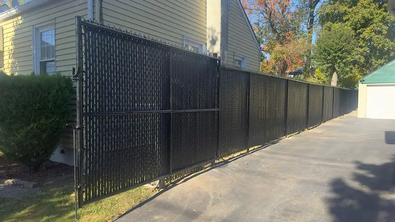 Fencing project 4