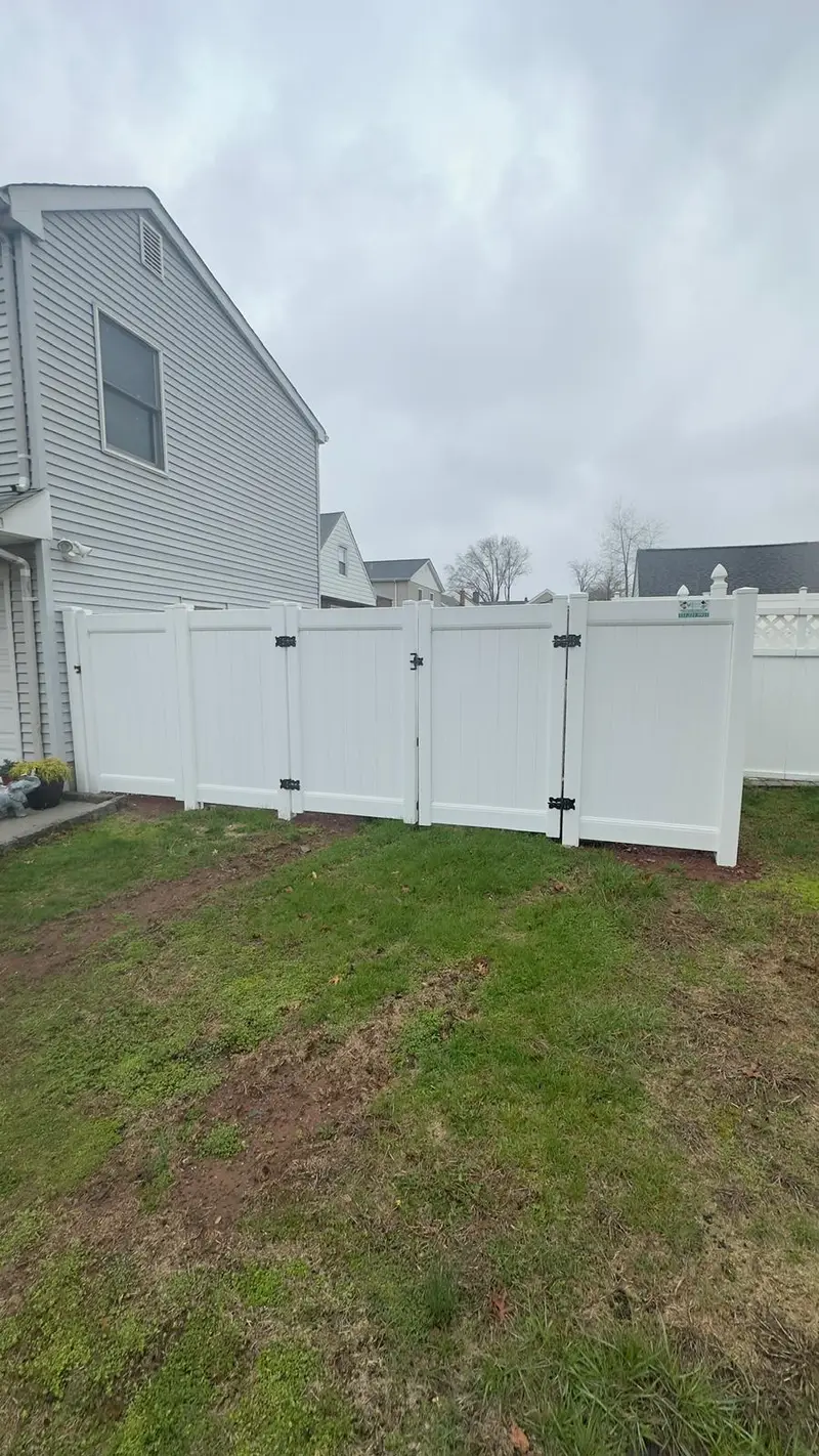 Fencing project 10